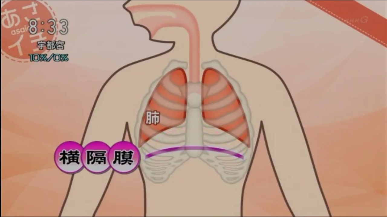 あさイチ横隔膜エクササイズ3 22nhk ラッキートレンドブログ